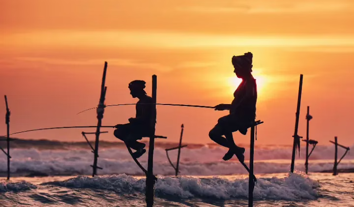 stilt fisherman sri lanka